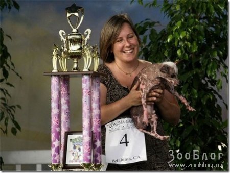 ����� ��������� ������ - 2008