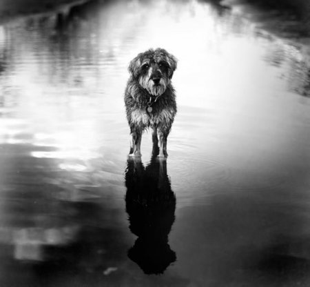 �������� �������� �� Martin Usborne