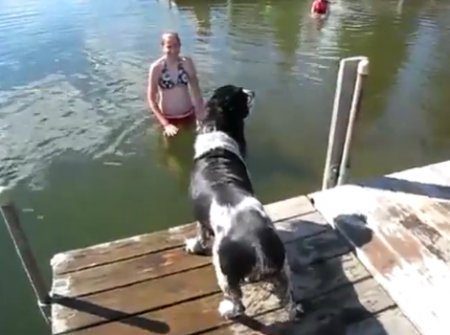 ��������-�� ��������, �������, ��� ���������!