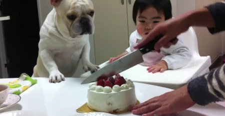 � �������� �������