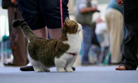 ������� - ���� � ��������� ������
