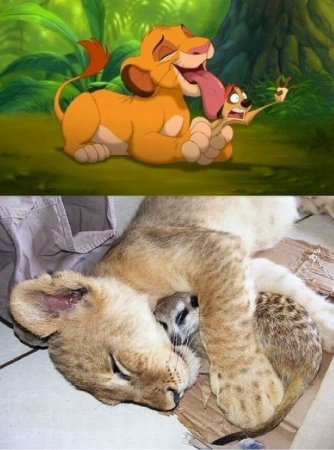 ������������ ������ ��������