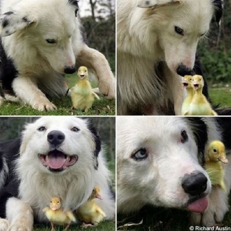 ������������ ������ ��������