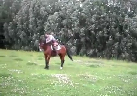 ������ ������� �� ���������