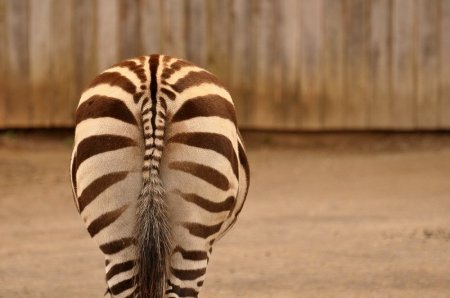 ������ �������, ����� ������� - �����