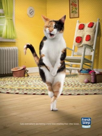 ���������� ������� ����������� ������� ��� �����