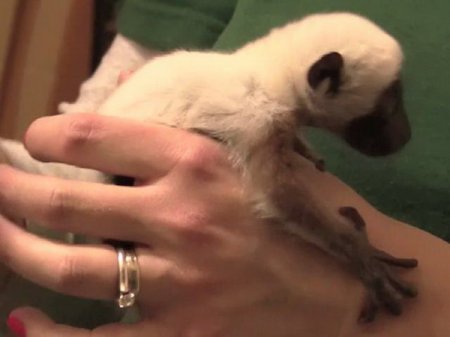 � �������� ��������� �������� �������� ������
