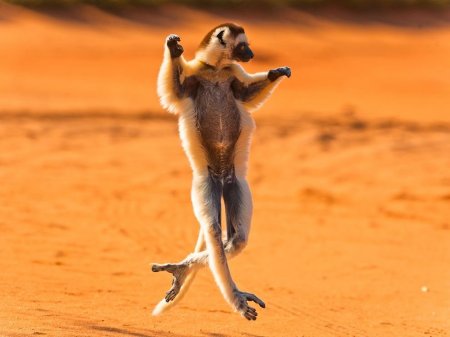 ������ ���������� �������� �� ������� �� National Geographic