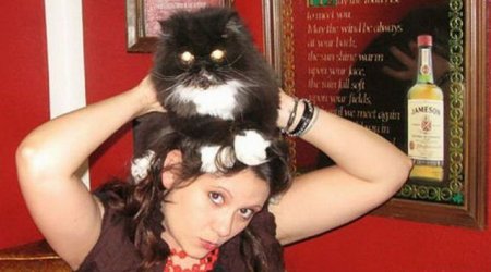 Котошапки Котошапки