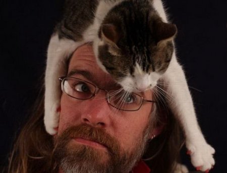 Котошапки Котошапки
