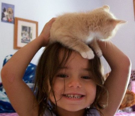 Котошапки Котошапки