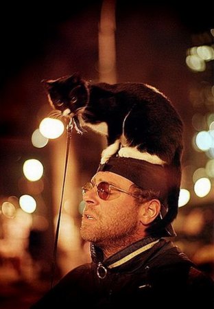 Котошапки Котошапки