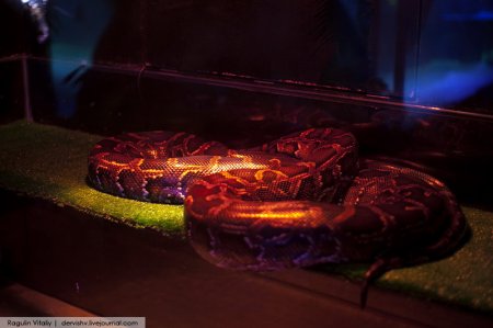 �������� ������ ���������� ����