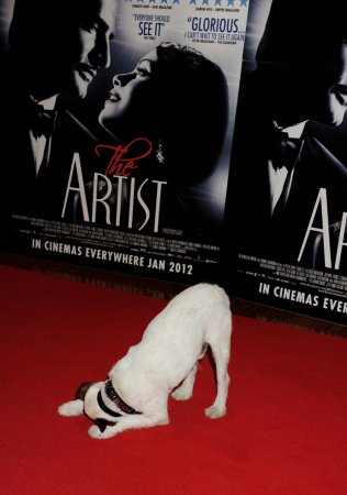 Настоящий герой фильма "Артист" Настоящий герой фильма "Артист"