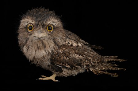 ��� ������������� �������� ��� National Geographic