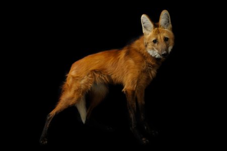 ��� ������������� �������� ��� National Geographic