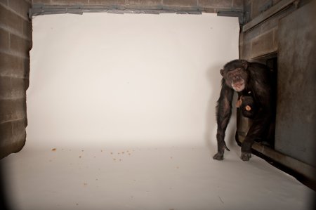 ��� ������������� �������� ��� National Geographic