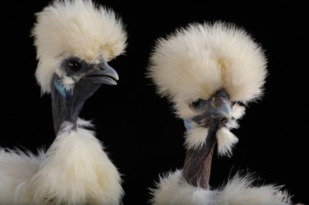 ��� ������������� �������� ��� National Geographic