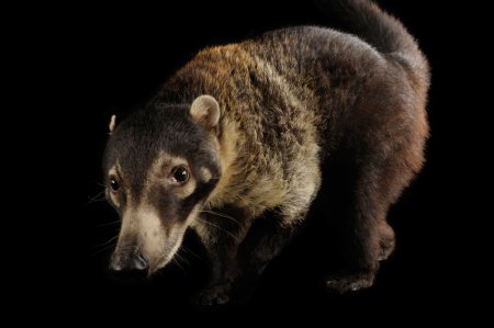 ��� ������������� �������� ��� National Geographic