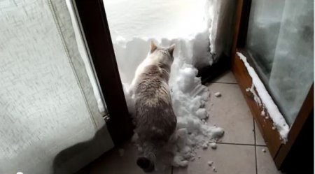 ����� �������� ��������� ������ �� �����