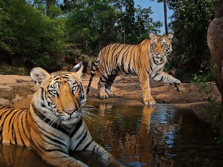 ������ ���������� ������� �� National Geographic